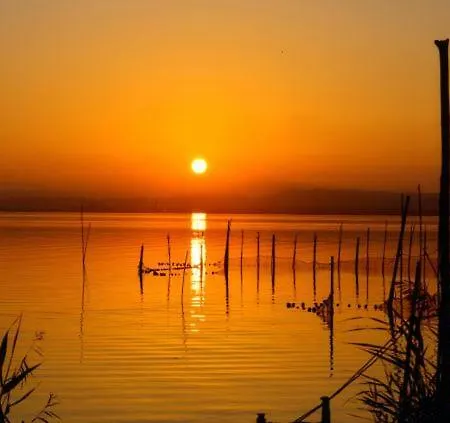 Sofia's Flat * Valencia